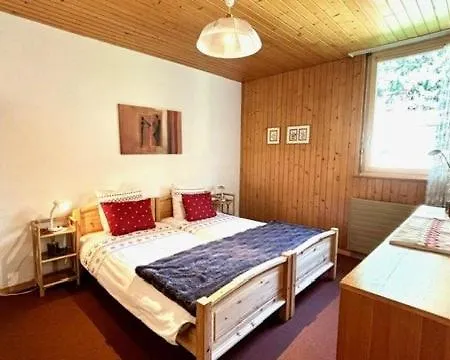 Alpine Apartment